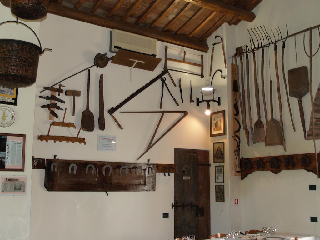 Agriturismo Le Clementine Badia Polesine Zewnętrze zdjęcie