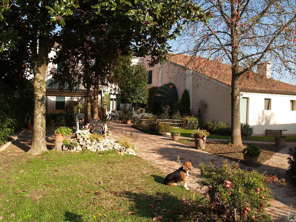 Agriturismo Le Clementine Badia Polesine Zewnętrze zdjęcie