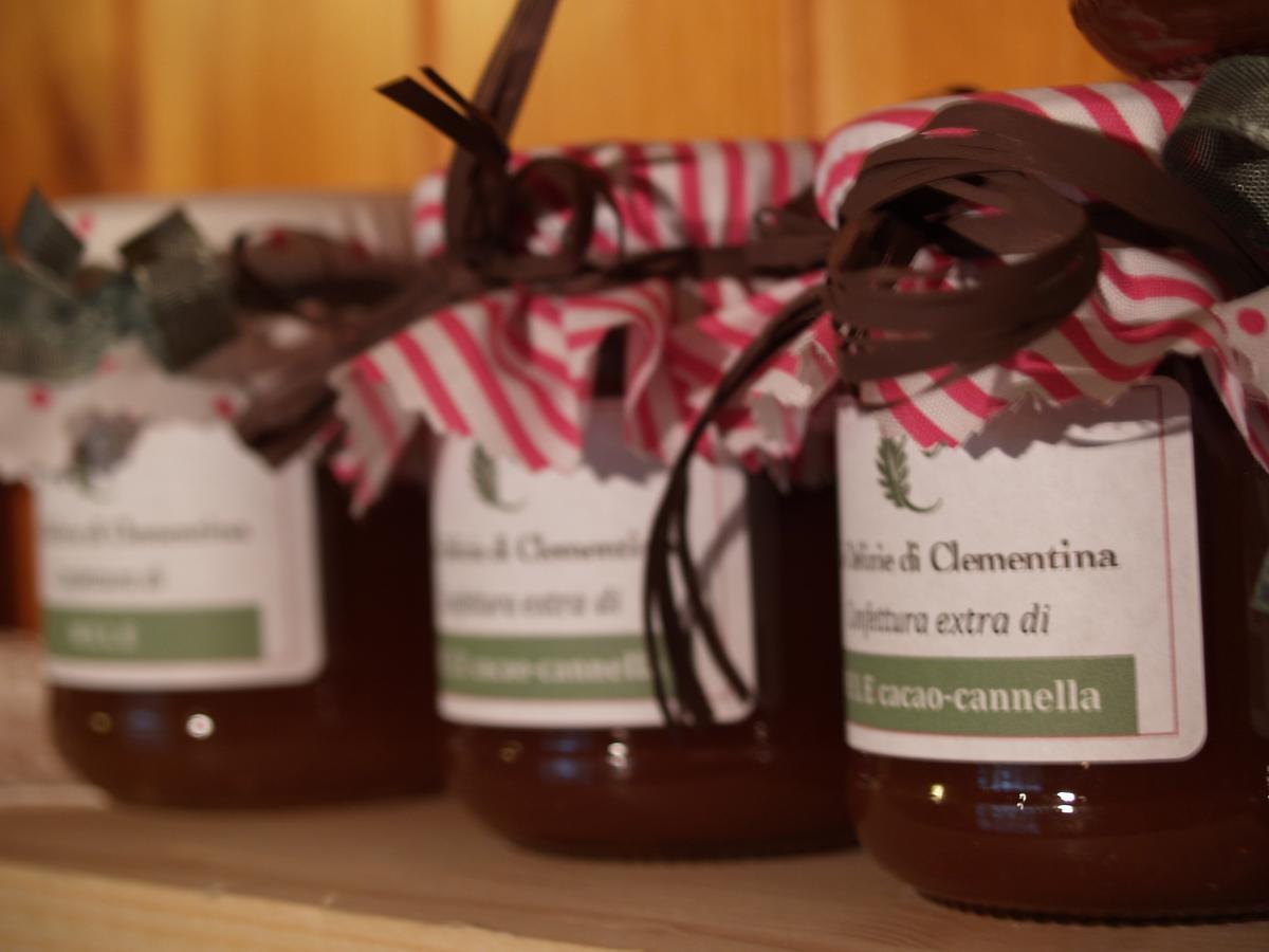 Agriturismo Le Clementine Badia Polesine Zewnętrze zdjęcie