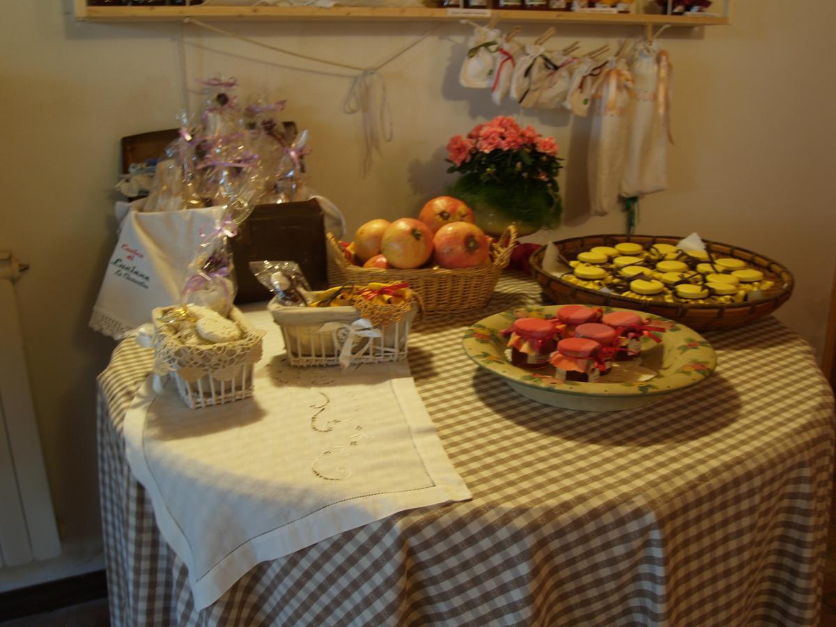 Agriturismo Le Clementine Badia Polesine Zewnętrze zdjęcie